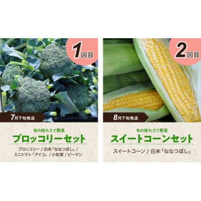 【発送月固定定期便】旬の農産物コース【0065-008】全4回