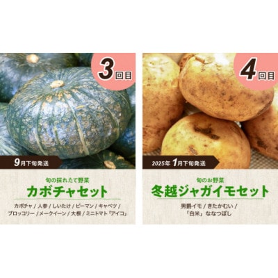 【発送月固定定期便】旬の農産物コース【0065-008】全4回