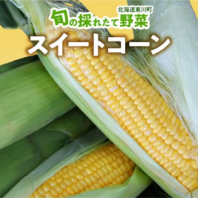 【発送月固定定期便】「旬の採れたて野菜」贅沢セットA全3回