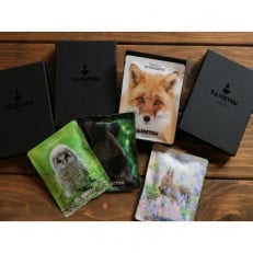 TAISETSU coffee 「北海道フォトセット< 3パック×4箱>」【20001008】
