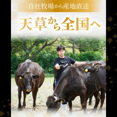 指定日必須★天草産 黒毛和牛 A5等級 特選サーロインステーキ 3枚_S001-002