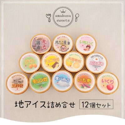 地アイス詰め合せ 12個(塩バニラ・モリンガ等、季節の地アイス)_S030-001A