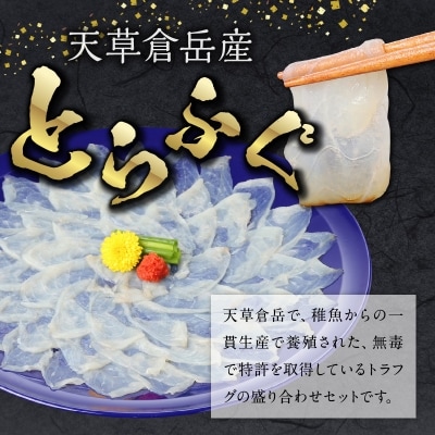 【指定日必須】とらふぐ宅配セット 4～5人前(刺し身・ちり・本皮・焼きヒレ)_S033-001