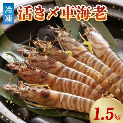 活き〆冷凍車海老 1.5kg (500g×3パック)_S065-004A