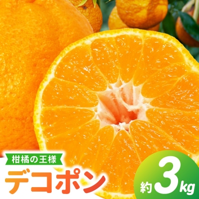 天草産 デコポン 3kg〈先行受付〉_S053-002B