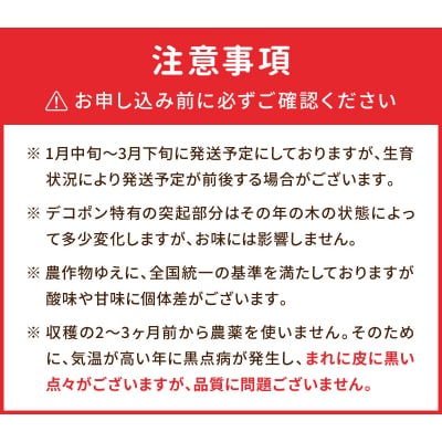 天草産 デコポン 3kg〈先行受付〉_S053-002B