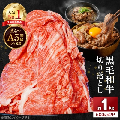 A4～A5等級 黒毛和牛 切り落とし 1kg(500g×2P)_S001-001A