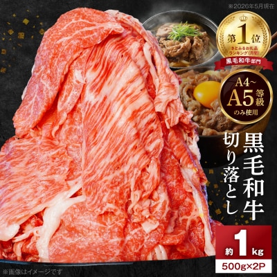 A4～A5等級 黒毛和牛 切り落とし 1kg(500g×2P)_S001-001A