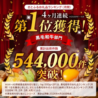 A4～A5等級 黒毛和牛 切り落とし 1kg(500g×2P)_S001-001A