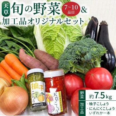 天草旬の野菜(7～10品目)&加工品 オリジナルセット_S047-001A