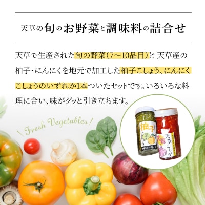 天草旬の野菜(7～10品目)&加工品 オリジナルセット_S047-001A