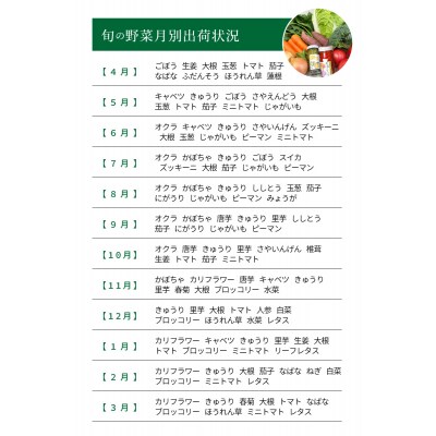 天草旬の野菜(7～10品目)&加工品 オリジナルセット_S047-001A