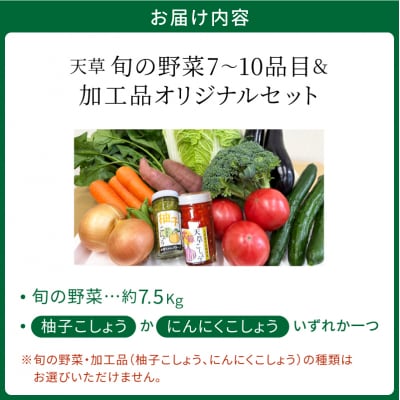 天草旬の野菜(7～10品目)&加工品 オリジナルセット_S047-001A