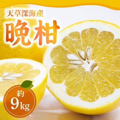【天草深海産】晩柑 約9㎏【先行受付】_S062-001