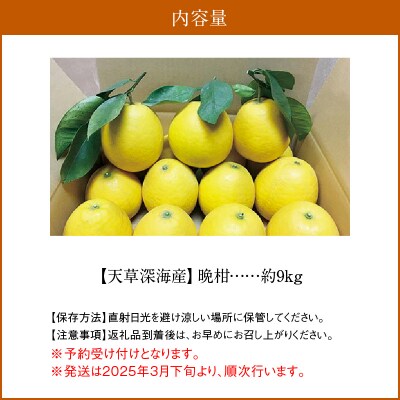 天草深海産】晩柑 約9kg【先行受付】_S062-001A | 熊本県天草市