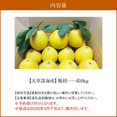 【天草深海産】晩柑 約9kg_S062-001A