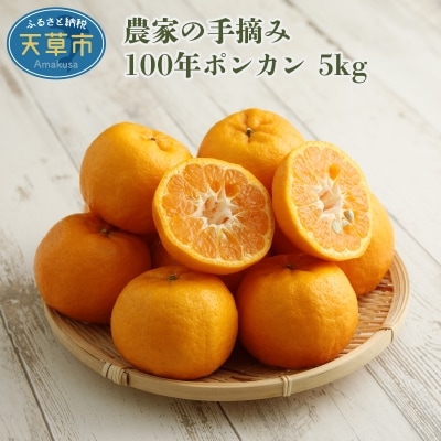 農家の手摘み100年ポンカン 約5kg〈先行受付〉_S040-007A