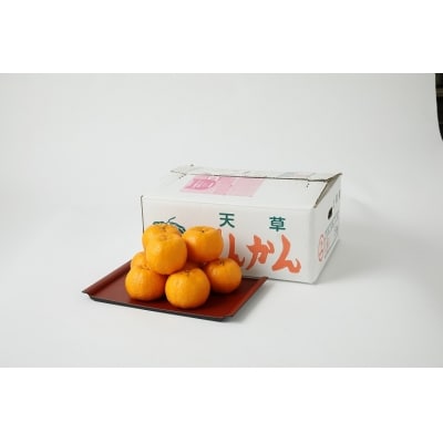 農家の手摘み100年ポンカン 約5kg〈先行受付〉_S040-007A