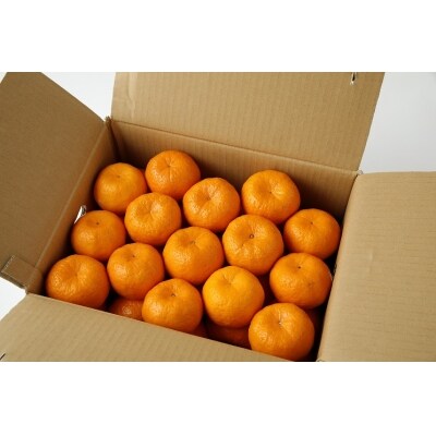 農家の手摘み100年ポンカン 約5kg〈先行受付〉_S040-007A