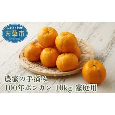 農家の手摘み100年ポンカン 10kg 家庭用〈先行受付〉_S040-009
