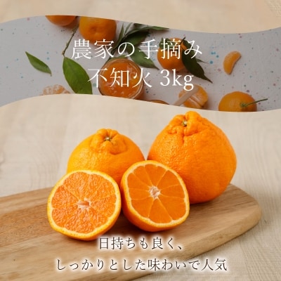 農家の手摘み不知火 約3kg〈先行受付〉_S040-010A