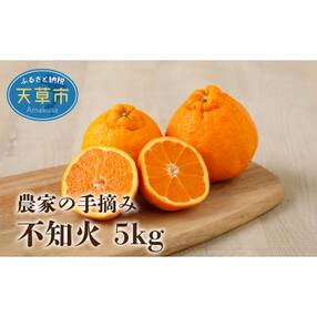 鯛 みかんのお礼品 返礼品一覧 ふるさと納税サイト さとふる 鯛 みかんのお礼品 返礼品一覧 ふるさと納税サイト さとふる