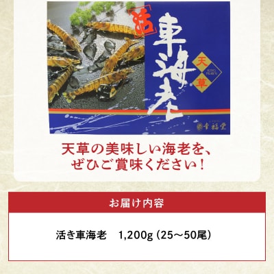 【指定日必須】【鮮度抜群】厳選・幸福堂の活き車えび(1,200g)_S005-003