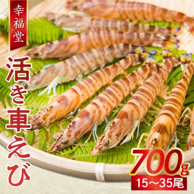 【指定日必須】【鮮度抜群】厳選・幸福堂の活き車えび(700g)_S005-002