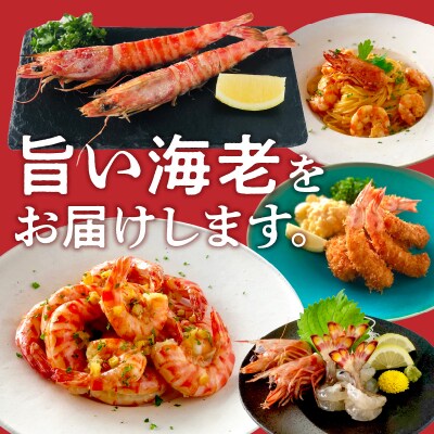 【指定日必須】【鮮度抜群】厳選・幸福堂の活き車えび(500g)_S005-001