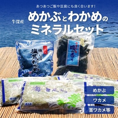 めかぶとわかめのミネラルセット めかぶ ワカメ 茎ワカメ等 S073 001 お礼品詳細 ふるさと納税なら さとふる