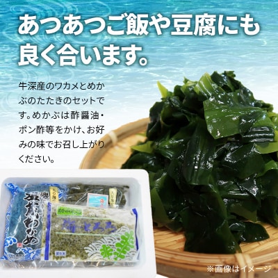 めかぶとわかめのミネラルセット(めかぶ・ワカメ・茎ワカメ等)_S073-001