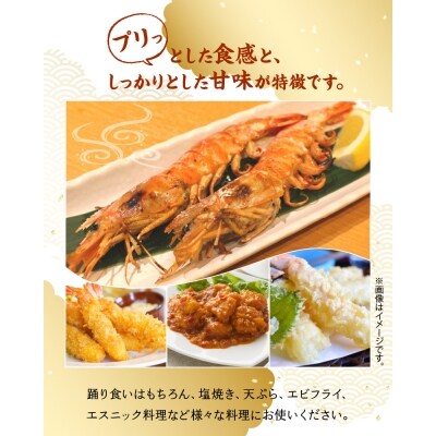 活き車海老 やまと車海老 300g S010 004 お礼品詳細 ふるさと納税なら さとふる