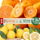 【定期便 3回】厳選!天草 下浦地区の農家が愛情込めて育てた柑橘3種〈先行受付〉_S040-013A