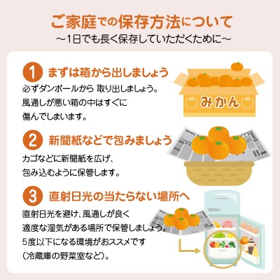 【定期便 3回】厳選!天草 下浦地区の農家が愛情込めて育てた柑橘3種〈先行受付〉_S040-013A