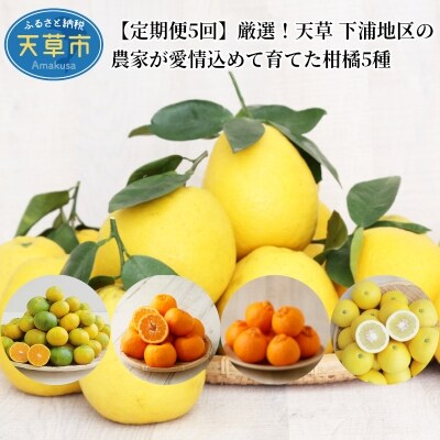 Ja愛知みなみがお届けする伊良湖温室みかん 2kg箱 お礼品詳細 ふるさと納税なら さとふる