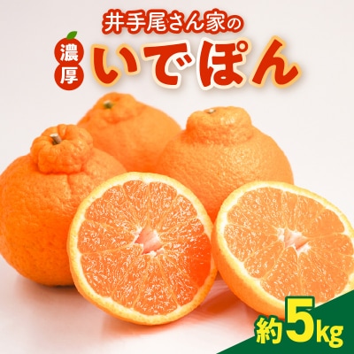 【先行受付】井手尾さん家の濃厚いでぽん 不知火 約5kg 柑橘_S086-002A