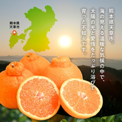 【先行受付】井手尾さん家の濃厚いでぽん 不知火 約5kg 柑橘_S086-002A