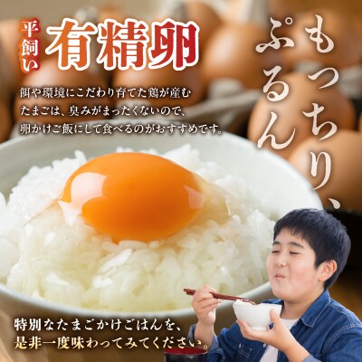【先行受付】天草五ッ星米卵かけご飯セット(お米 5kg 卵 30個)_S061-003A