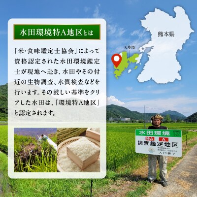 天草五ッ星米卵かけご飯セット(お米 5kg 卵 30個)_S061-003A