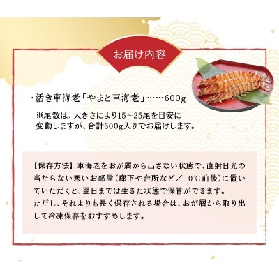 活き車海老 やまと車海老 600g S010 045 お礼品詳細 ふるさと納税なら さとふる