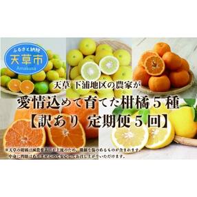 鯛 みかんのお礼品 返礼品一覧 ふるさと納税サイト さとふる 鯛 みかんのお礼品 返礼品一覧 ふるさと納税サイト さとふる