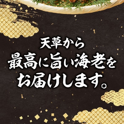 【指定日必須】【鮮度抜群】天草産・幸福堂の活き車えび『海老王』(370g)_S005-005