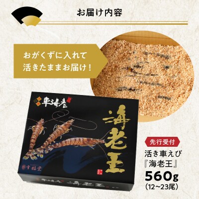 【指定日必須】【鮮度抜群】天草産・幸福堂の活き車えび『海老王』(560g)_S005-006