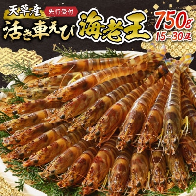 【指定日必須】【鮮度抜群】天草産・幸福堂の活き車えび『海老王』(750g)_S005-007