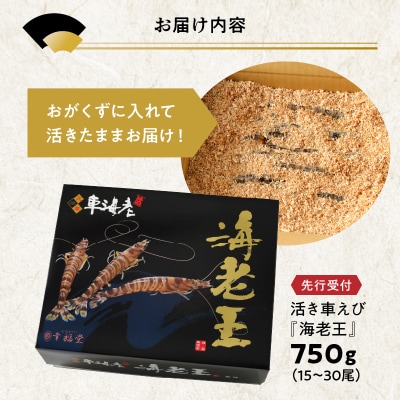 【指定日必須】【鮮度抜群】天草産・幸福堂の活き車えび『海老王』(750g)_S005-007