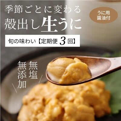 【定期便3回】季節ごとに変わる 殻出し生うに 50g×2本 うに用醤油付_S002-007