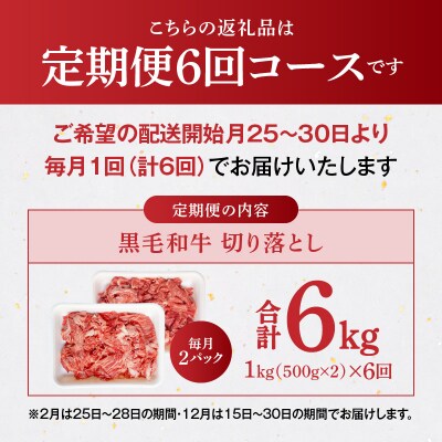 【定期便6回】A4～A5等級 黒毛和牛切り落とし1kg(500g×2P)_S001-001-T06A