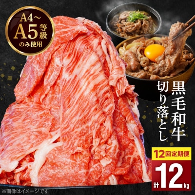 定期便12回 A4～A5等級 黒毛和牛切り落とし1kg(500g×2P)_S001-001-T12A