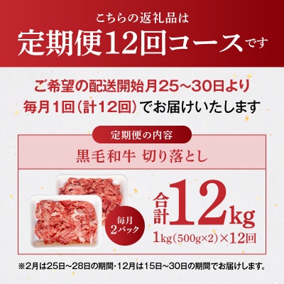 定期便12回 A4～A5等級 黒毛和牛切り落とし1kg(500g×2P)_S001-001-T12A