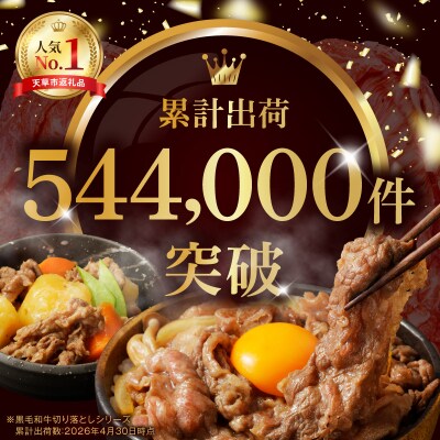 定期便12回 A4～A5等級 黒毛和牛切り落とし1kg(500g×2P)_S001-001-T12A